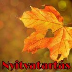 nyitvatartás kalandpark játszóház