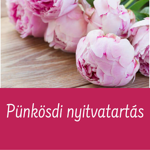 Pünkösdkör is nyitva!